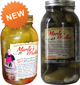 1 Jar Hot & Spicy Pickles & 1 Jar Original Kosher Dill Pickles